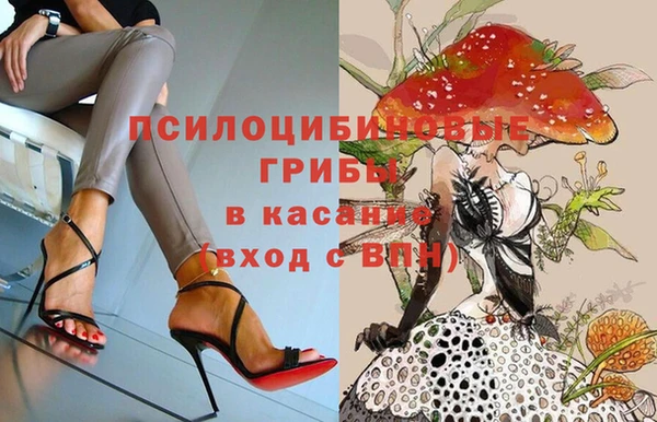 спиды Армянск